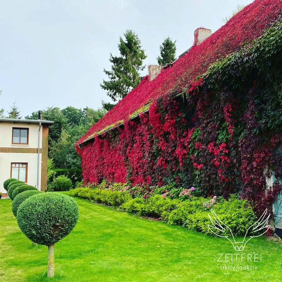 Zeitfrei Urlaubsappartememts & Veranstaltungsort Steffenshagen Экстерьер фото